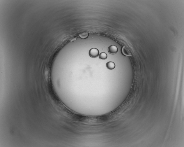 X0000112010123200908031029