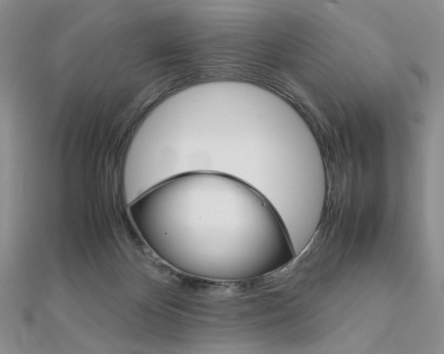 X0000112010124200908031029