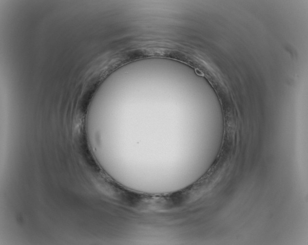 X0000112010125200908031029