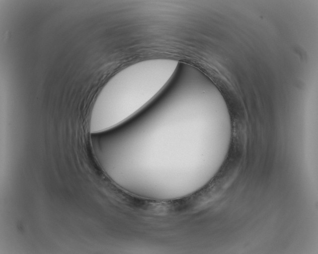 X0000112010127200908031029