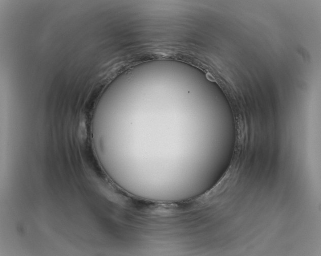 X0000112010128200908031029