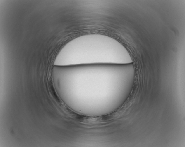 X0000112010129200908031029