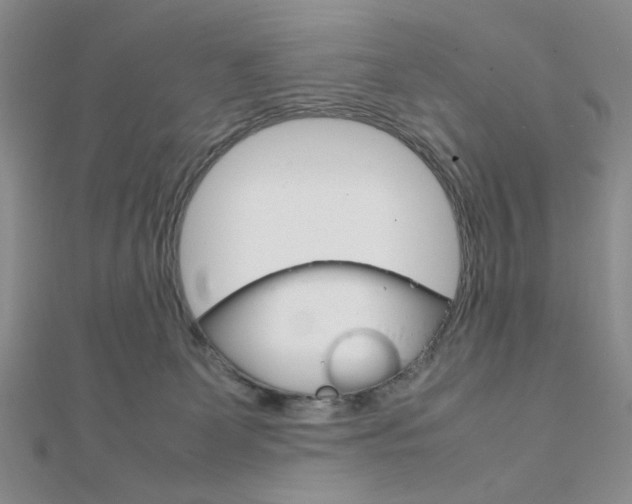 X0000112010131200908031029