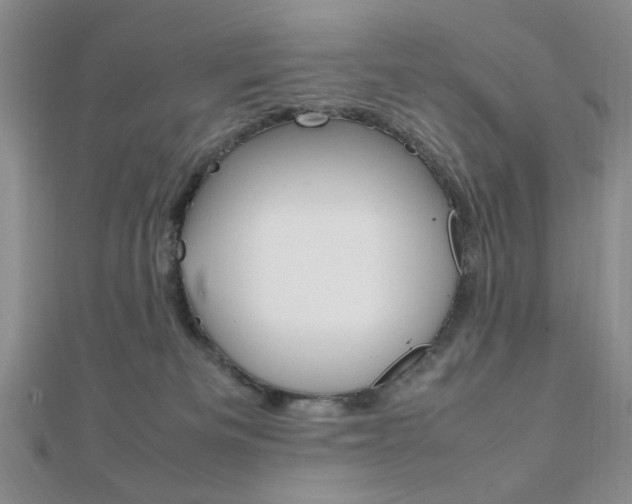 X0000112010133200908031029