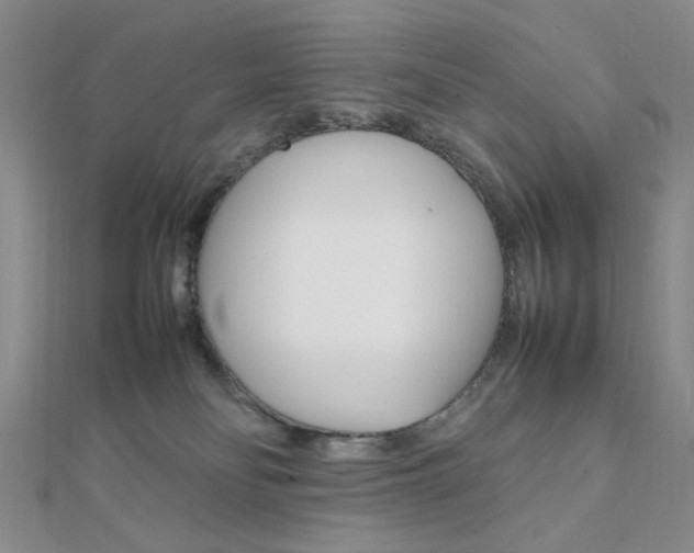 X0000112010134200908031029