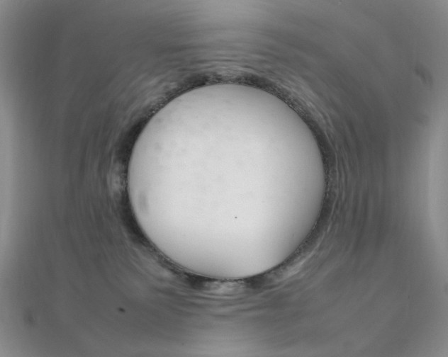 X0000112010135200908031029