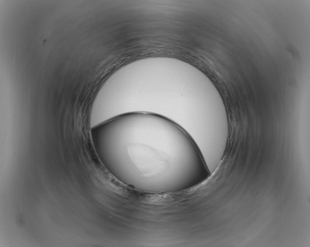 X0000112010136200908031029
