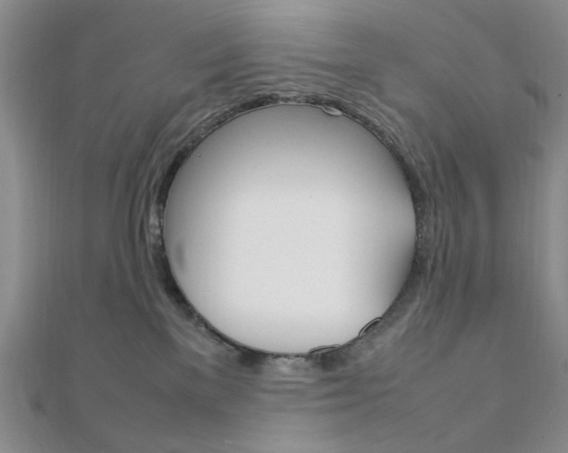 X0000112010137200908031029