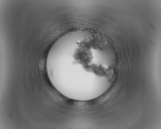 X0000112010139200908031029