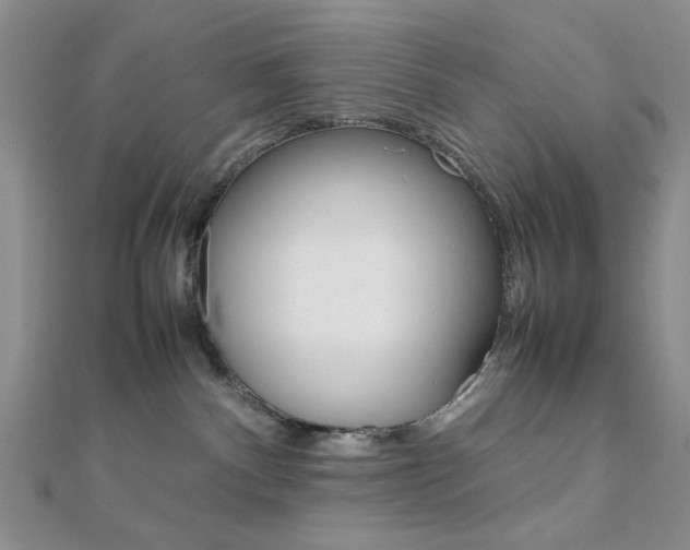 X0000112010140200908031029