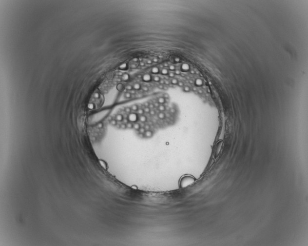 X0000112010141200908031029