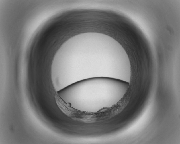 X0000112010143200908031029