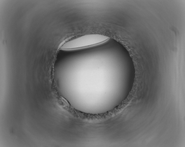 X0000112010144200908031029