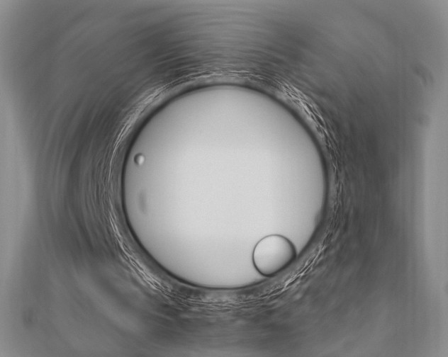 X0000112010145200908031028