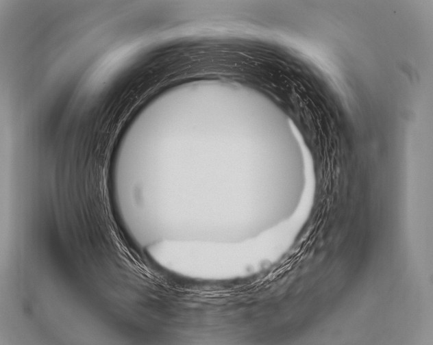 X0000112010146200908031028