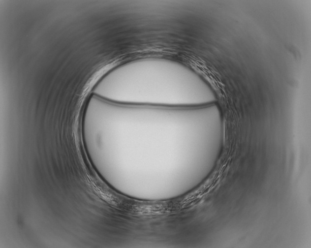 X0000112010147200908031028