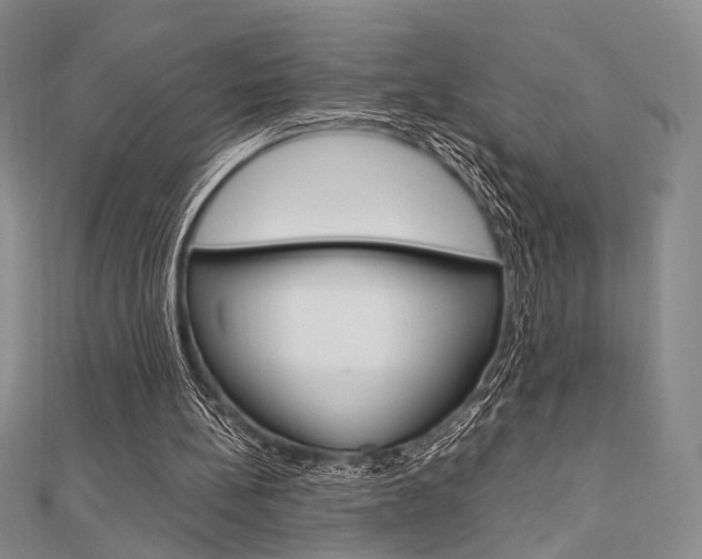 X0000112010148200908031028