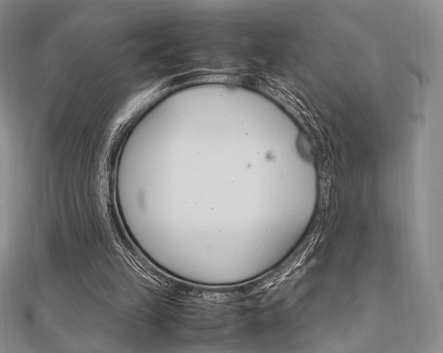 X0000112010149200908031028