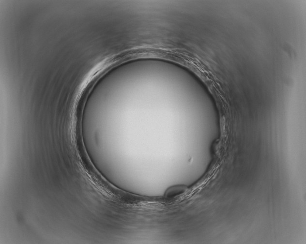 X0000112010150200908031028