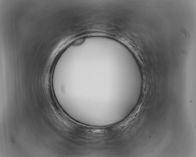 X0000112010151200908031028