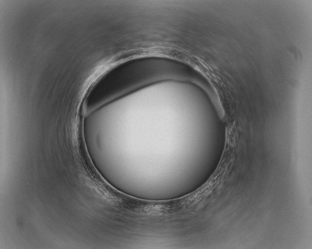 X0000112010152200908031028