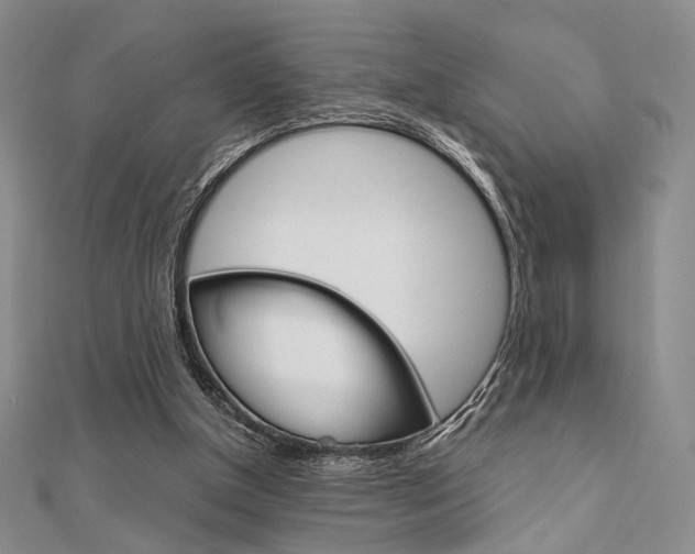 X0000112010154200908031028