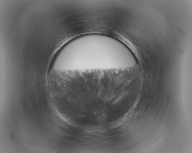 X0000112010155200908031028