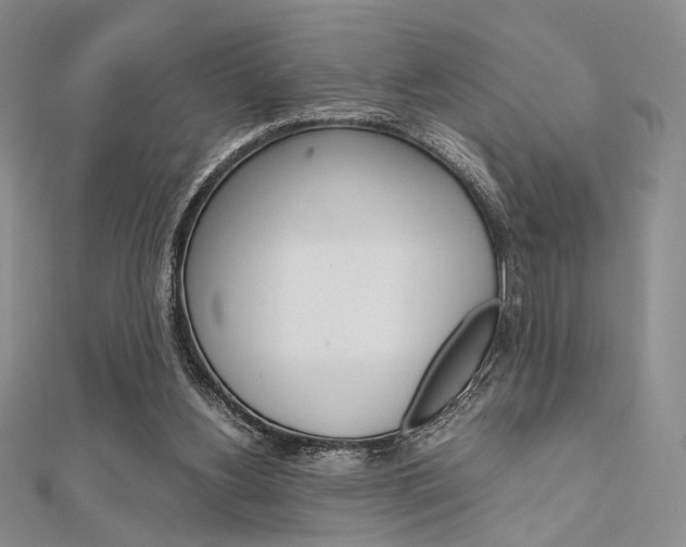 X0000112010156200908031028