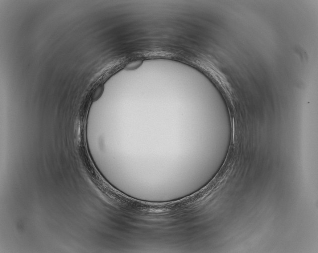 X0000112010157200908031028