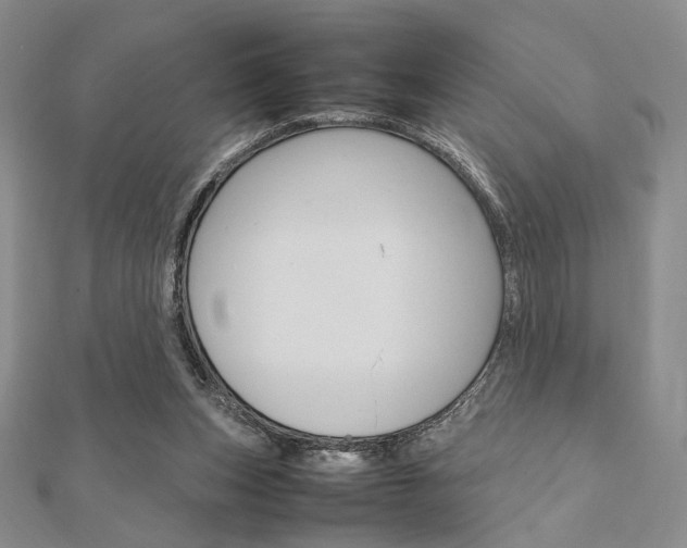 X0000112010159200908031028