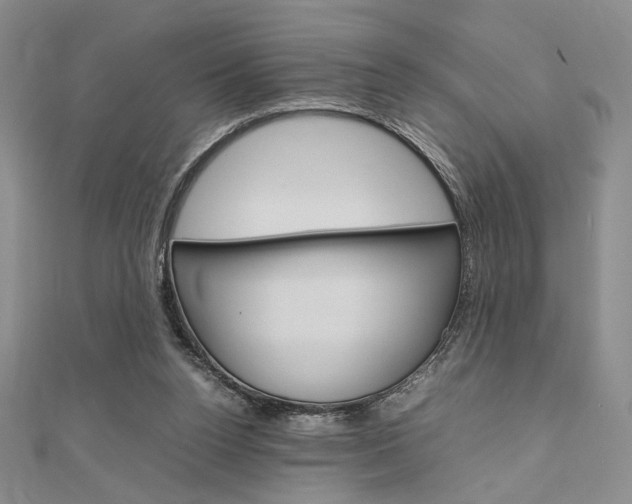 X0000112010160200908031028