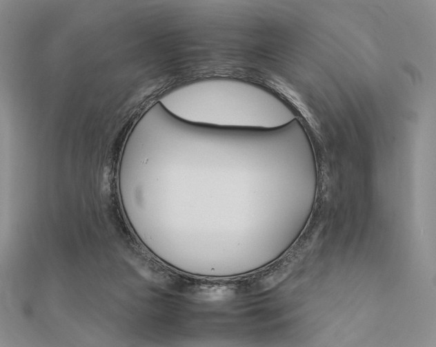 X0000112010161200908031028