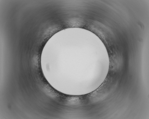 X0000112010162200908031028