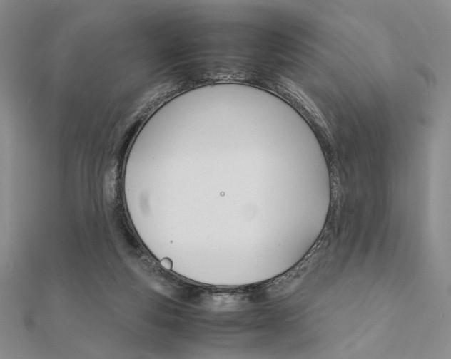 X0000112010163200908031028