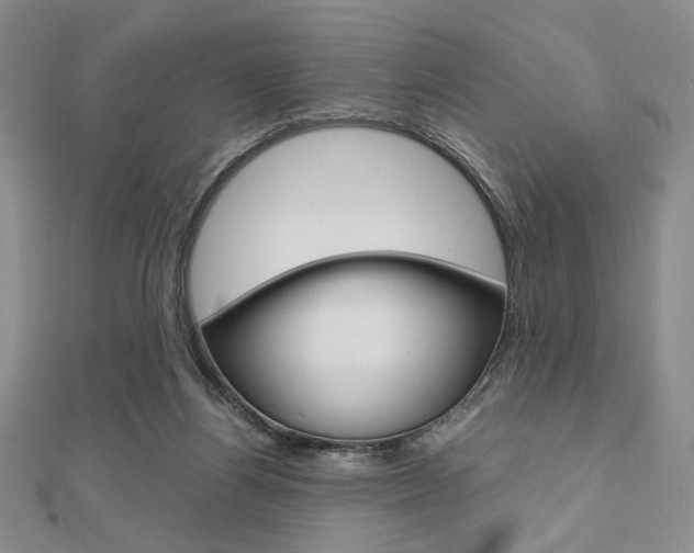 X0000112010164200908031029