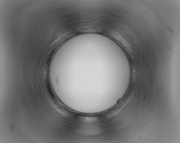 X0000112010165200908031029