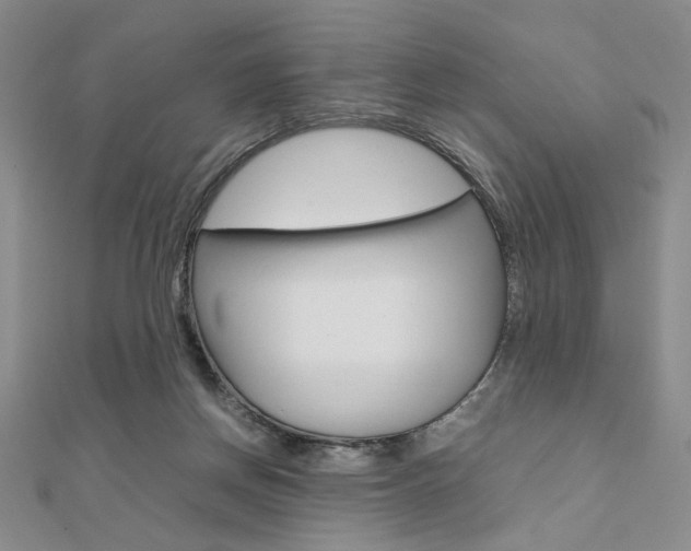 X0000112010166200908031029