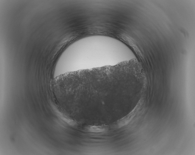 X0000112010167200908031029