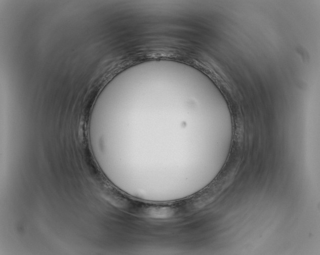 X0000112010169200908031029