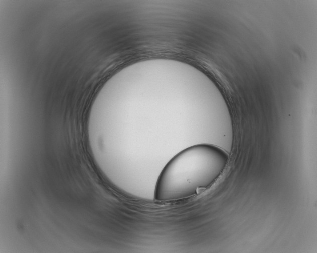 X0000112010170200908031029