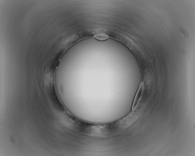 X0000112010172200908031029