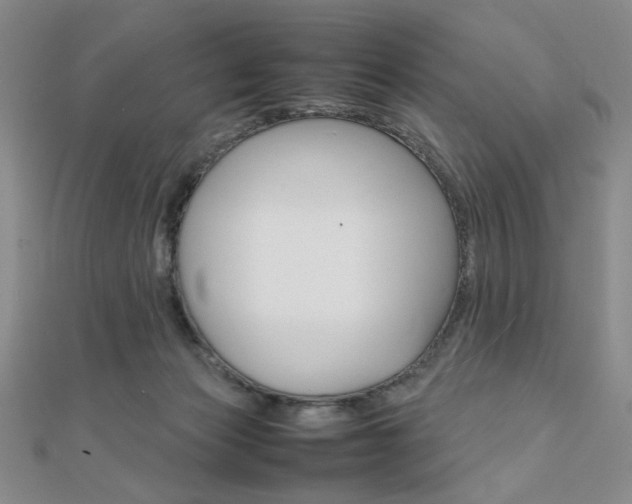 X0000112010173200908031029