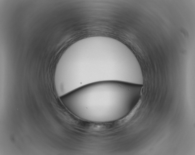 X0000112010174200908031029