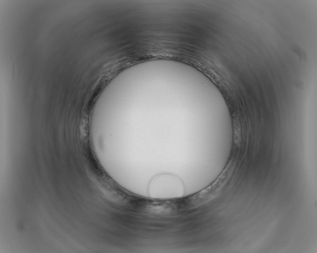 X0000112010175200908031029