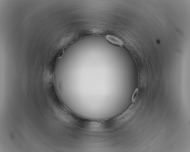 X0000112010176200908031029