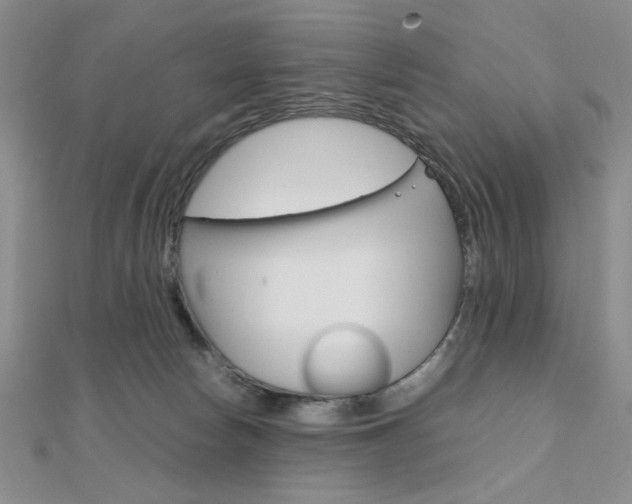 X0000112010178200908031029