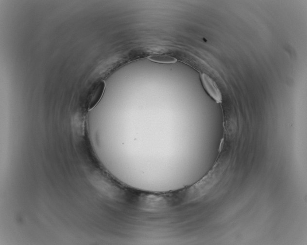 X0000112010180200908031029