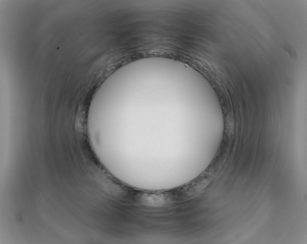 X0000112010181200908031029