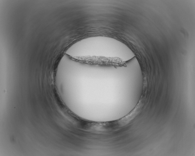 X0000112010182200908031029
