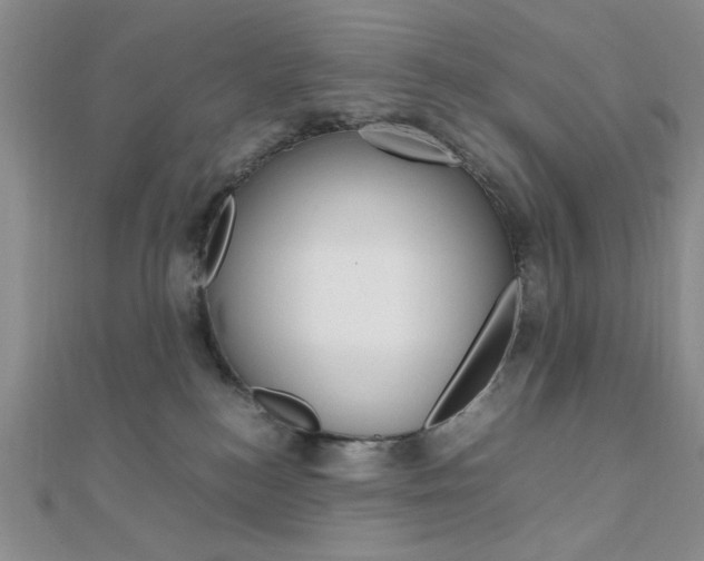 X0000112010184200908031029